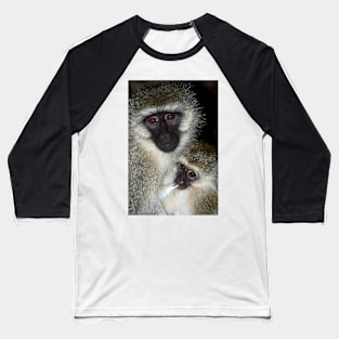 Primate - Black-faced Vervet Monkey, Kenya. Baseball T-Shirt